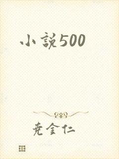 小说500