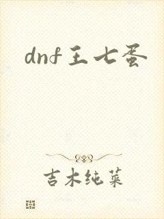 dnf王七蛋