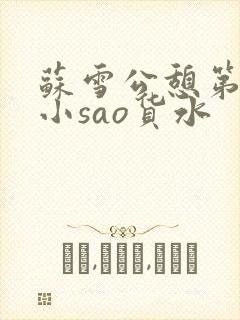 苏雪公憩第一章小sao货水