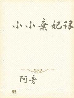 小小弃妃很倾城