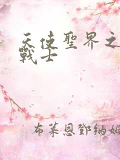 天使圣界之神之战士