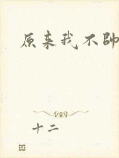 原来我不帅小说