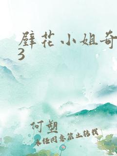 壁花小姐奇遇记3