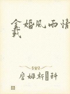 金婚风雨情 下载