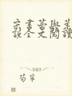 宋书蕾与叶临小说全文阅读