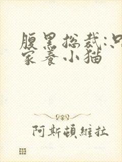 腹黑总裁:只疼家养小猫