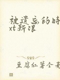 被遗忘的时光txt新浪