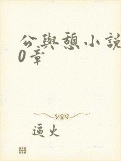 公与憩小说400章