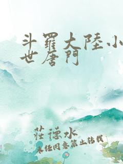 斗罗大陆小说绝世唐门