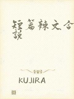 短篇辣文合集小说