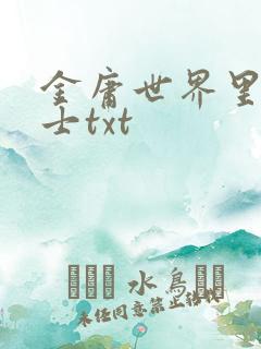 金庸世界里的道士txt