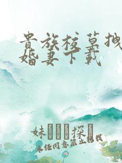 贵族校草拽拽未婚妻下载