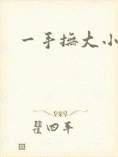 一手抚大小说