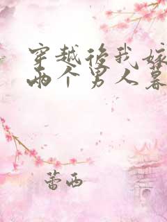 穿越后我嫁给了两个男人暮色酒歌