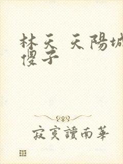 林天 天阳城 傻子