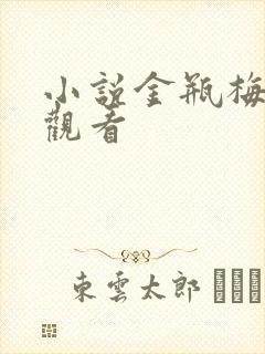 小说金瓶梅在线观看