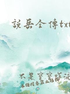 说岳全传txt