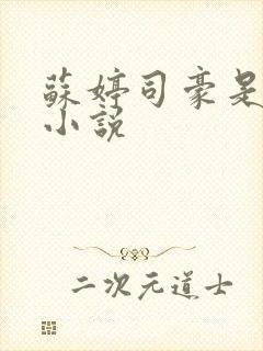 苏婷司豪是什么小说