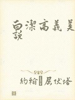 白洁高义美红小说