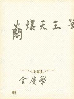 火爆天王 笔趣阁