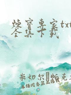 炼宝专家txt全集下载