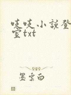 吱吱小说登堂入室txt