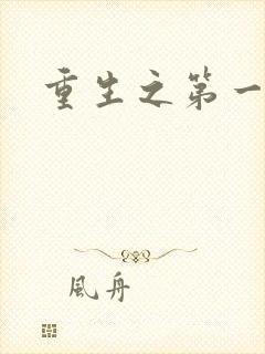 重生之第一名媛