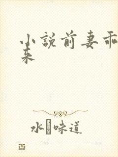 小说前妻乖乖回来