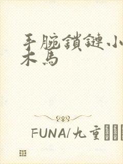 手腕锁链小黑屋木马