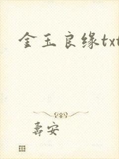 金玉良缘txt