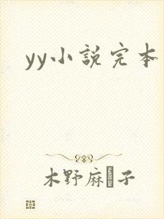 yy小说完本
