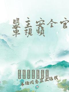 盟主安全官开火车视频