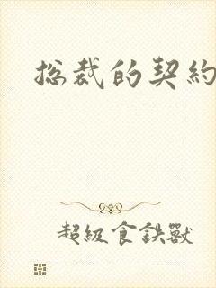 总裁的契约情人