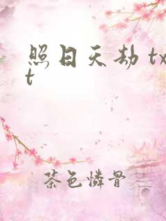 照日天劫 txt