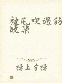 被风吹过的夏天晓渠