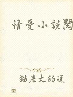 情爱小说阅读网