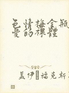 色情梅金瓶2之爱的裸体