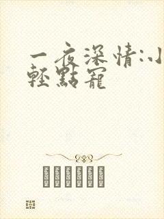 一夜深情:小叔轻点宠