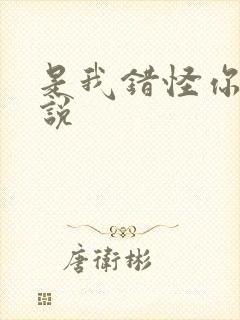 是我错怪你了小说