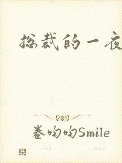 总裁的一夜情人