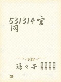 531314官网