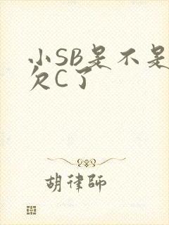 小SB是不是又欠C了