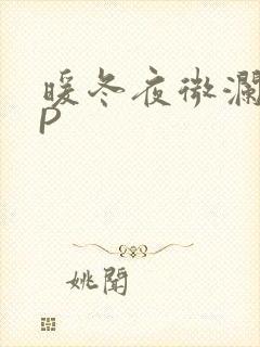 暖冬夜微澜VIP