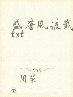 盛唐风流武状元txt