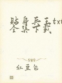 贴身兵王txt全集下载
