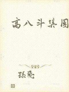 高八斗集团