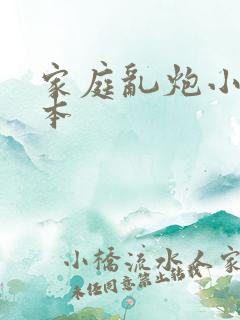 家庭乱炮小说全本