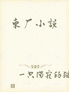 东厂小说