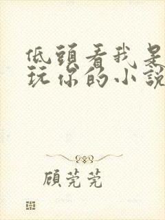 低头看我是怎么玩你的小说