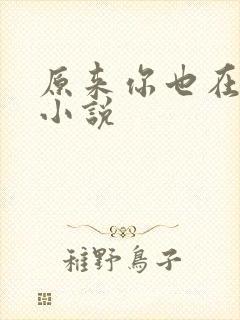 原来你也在这里小说